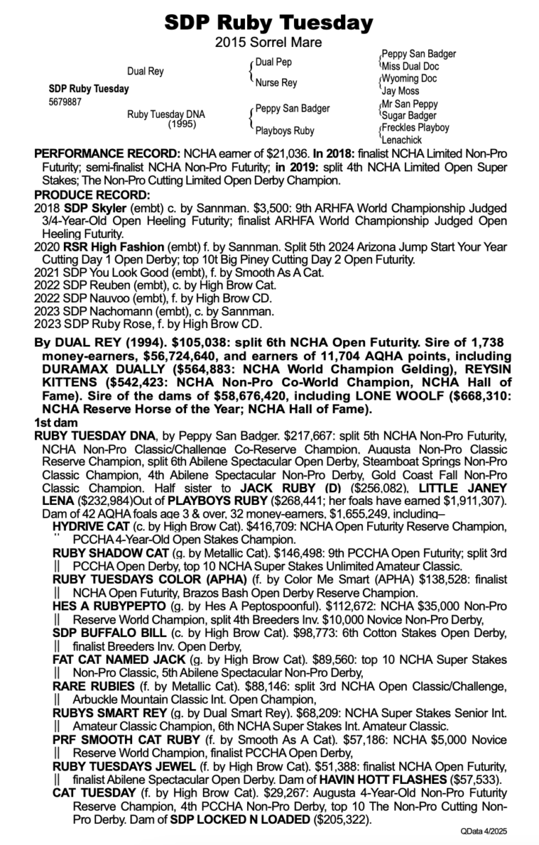 Screenshot 2025-05-06 at 8.24